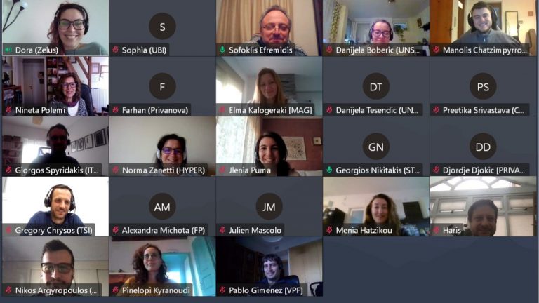 Screenshot form CYRENE's second virtual plenary meeting with pictures of the attendees' majority